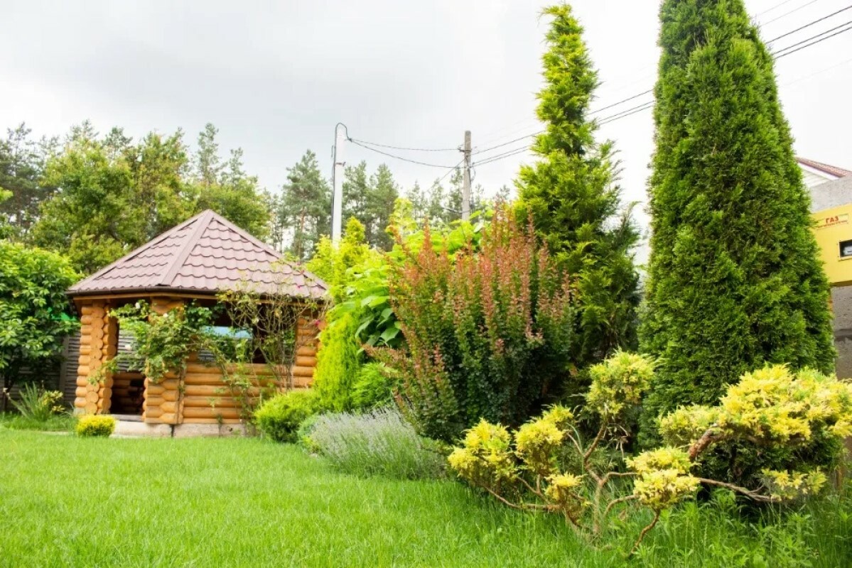 https://surgut.tgv-stroy.ru/storage/app/uploads/public/637/ef4/fb3/637ef4fb3605f391429275.png